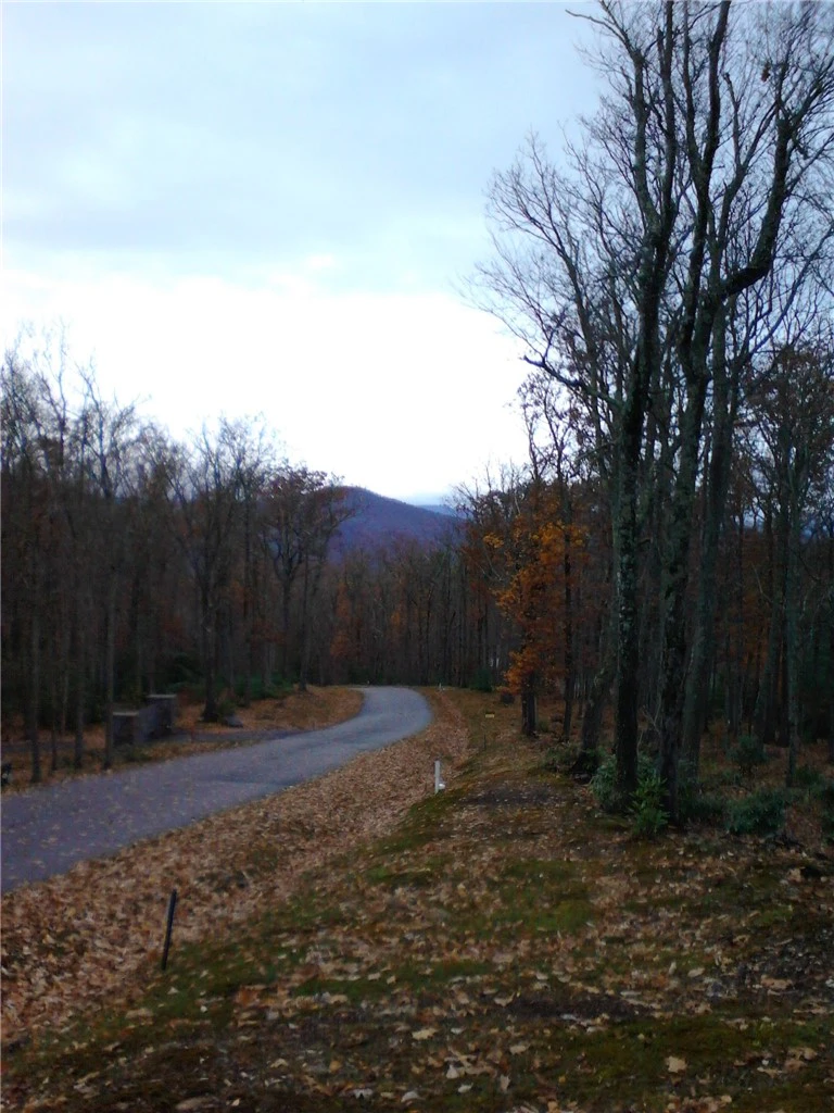 Image number 12 for the current listing