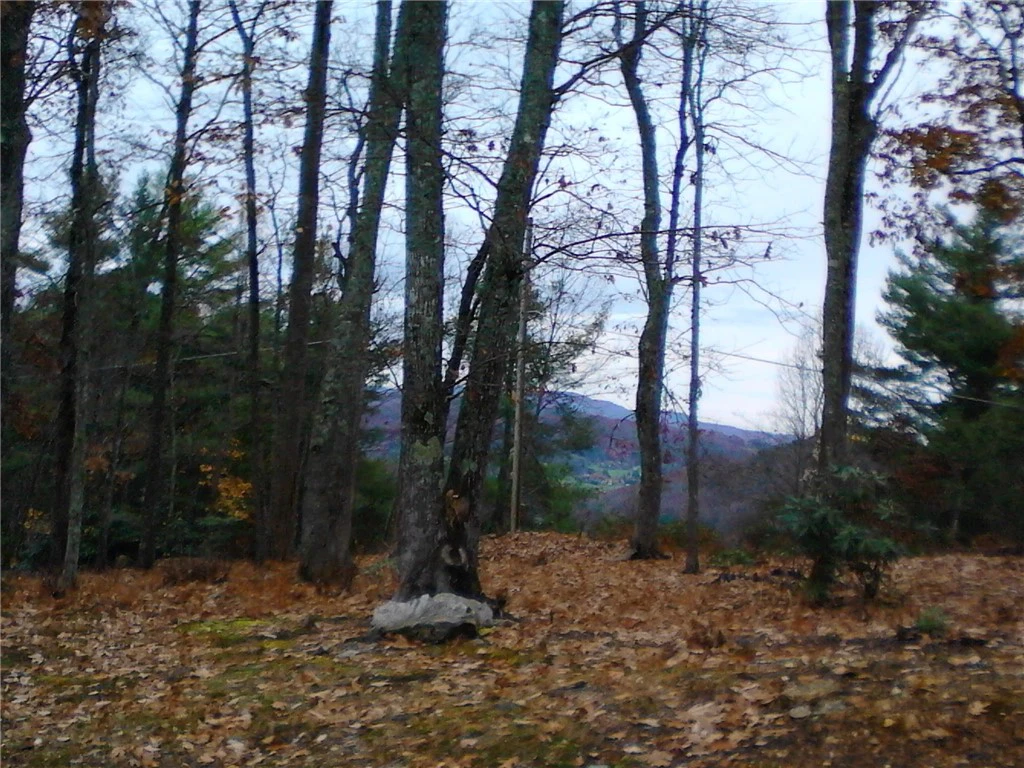 Image number 11 for the current listing