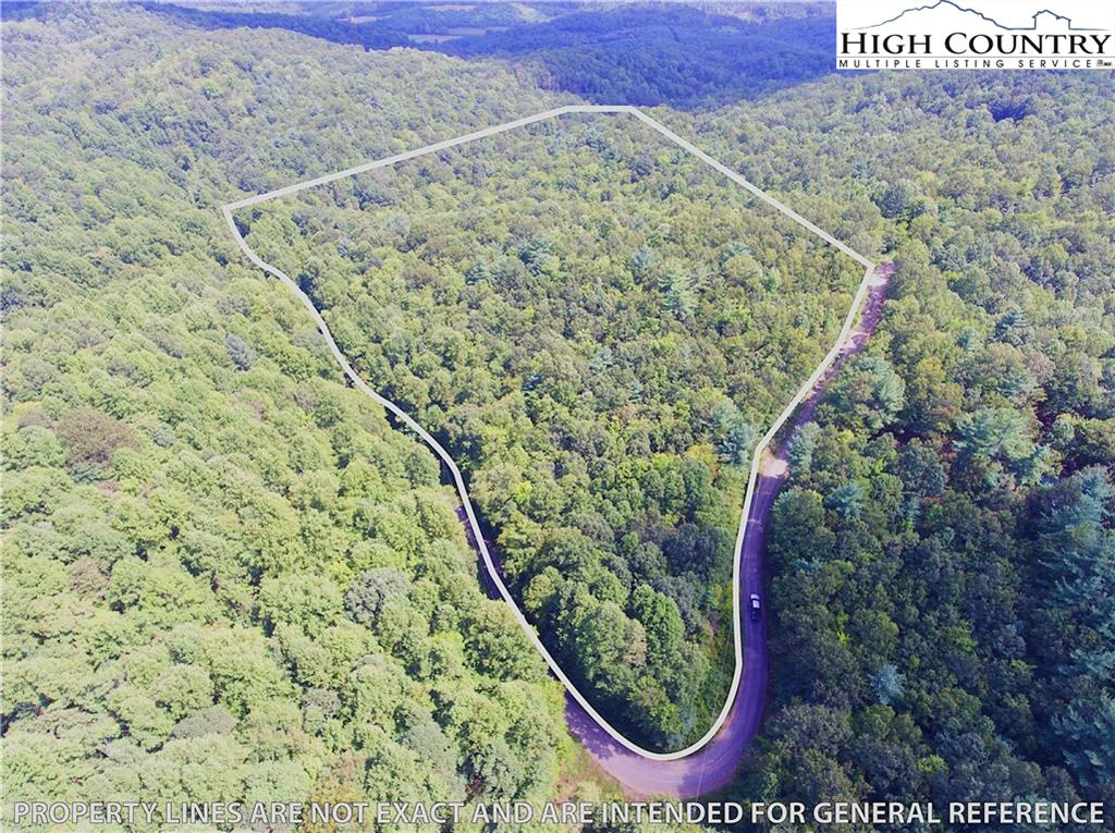 Image number 1 for the current listing