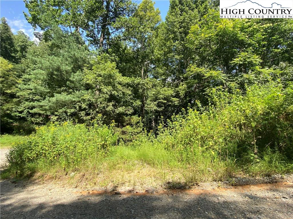 Image number 5 for the current listing