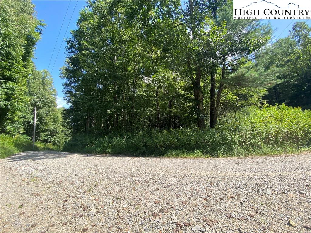 Image number 6 for the current listing