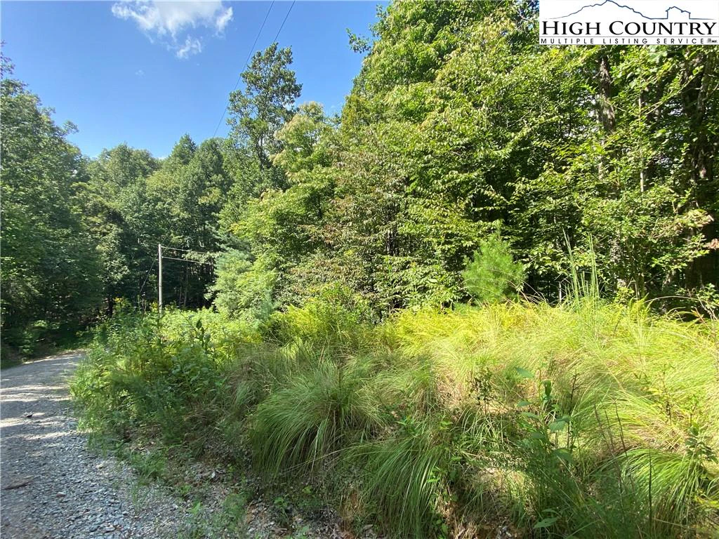 Image number 7 for the current listing
