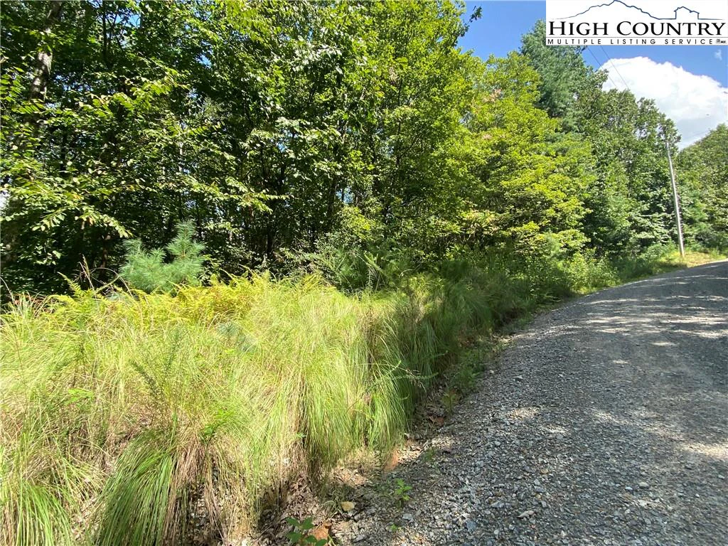 Image number 8 for the current listing