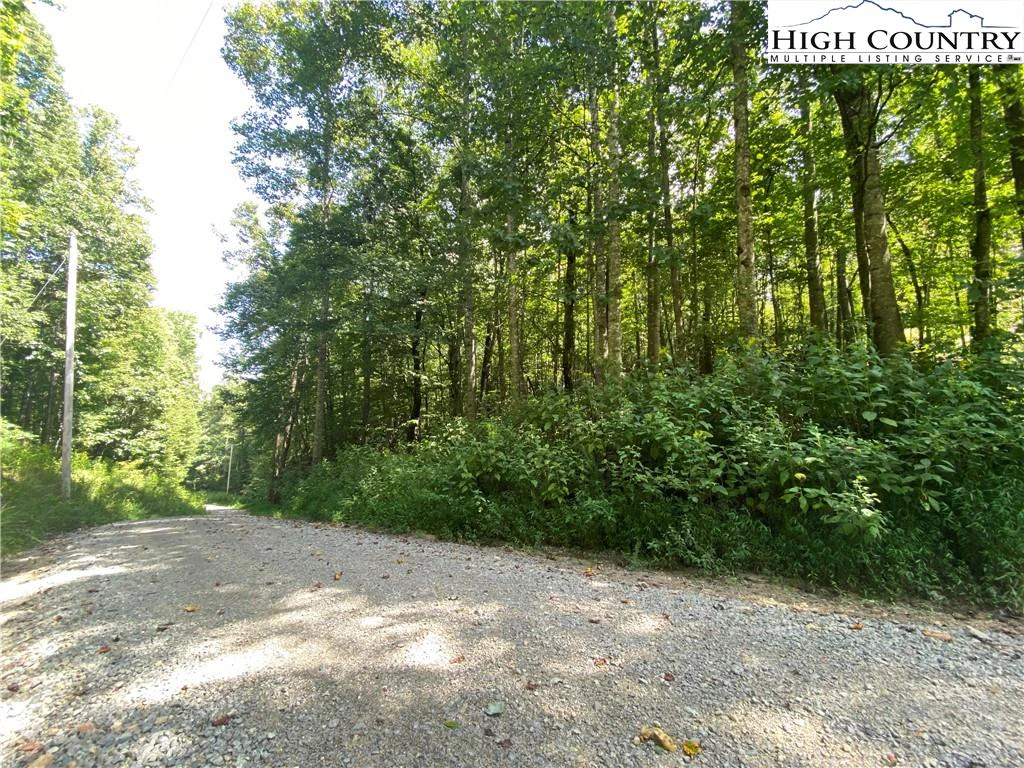 Image number 9 for the current listing