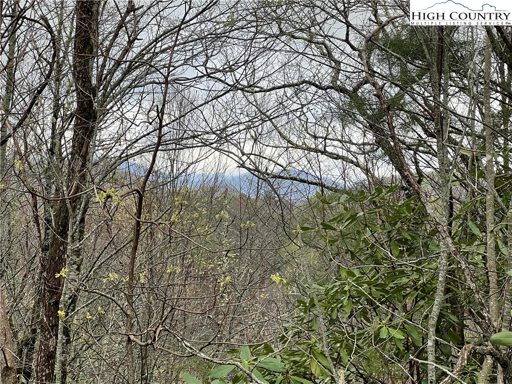 Image number 15 for the current listing