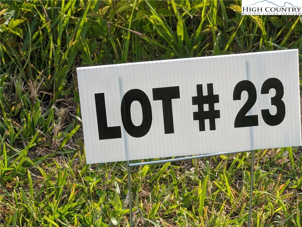 Image number 1 for the current listing