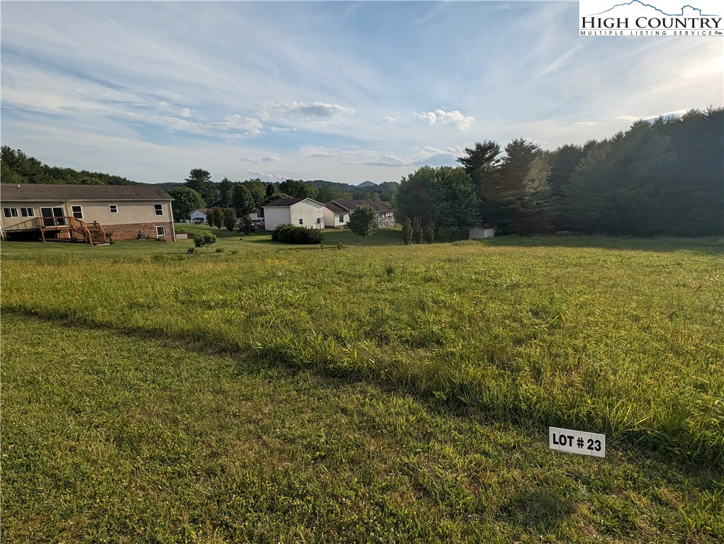 Image number 2 for the current listing