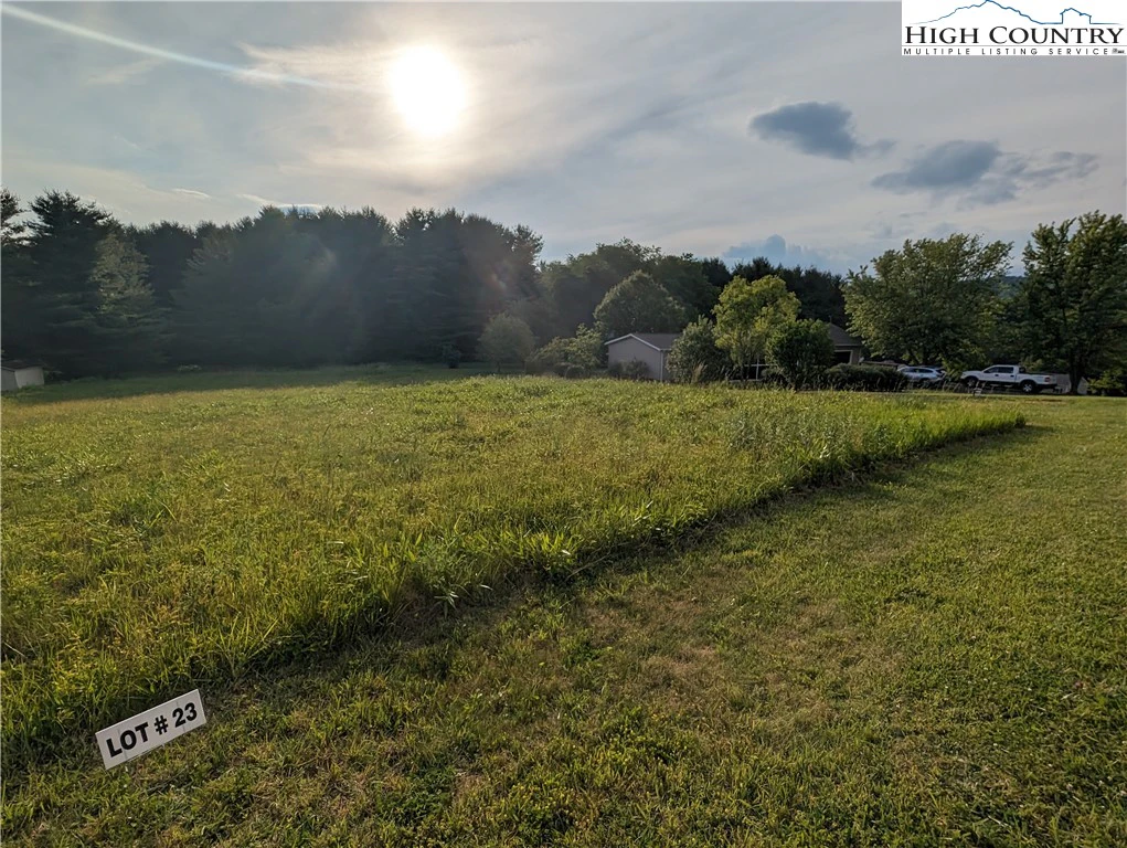 Image number 5 for the current listing