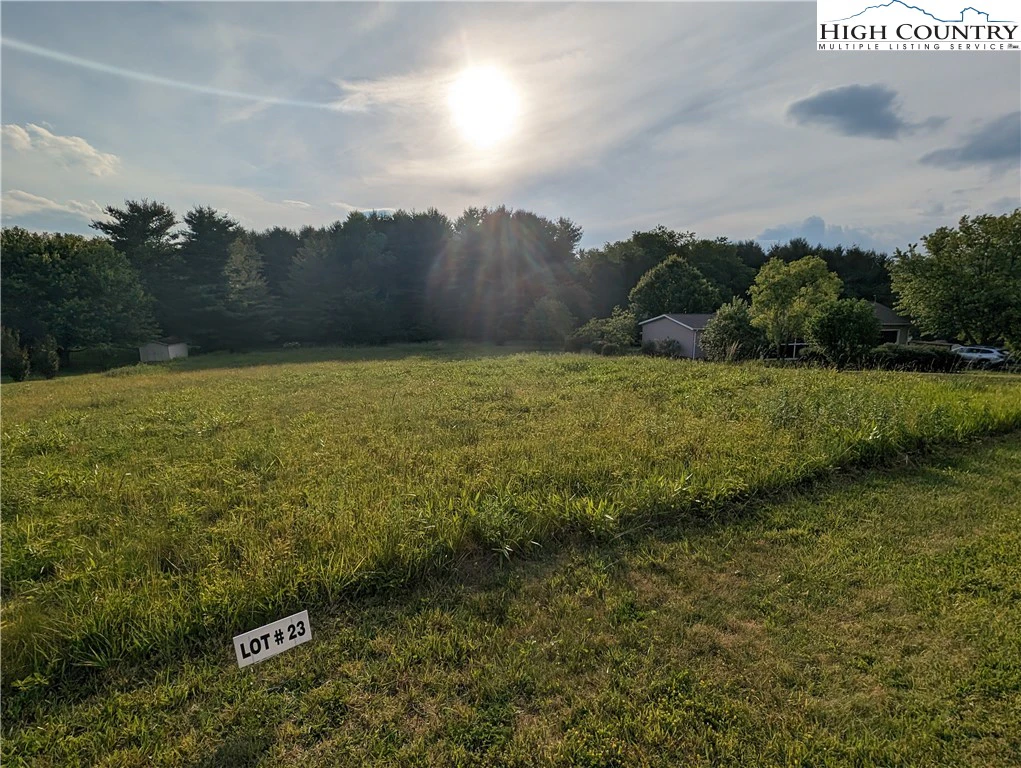 Image number 6 for the current listing