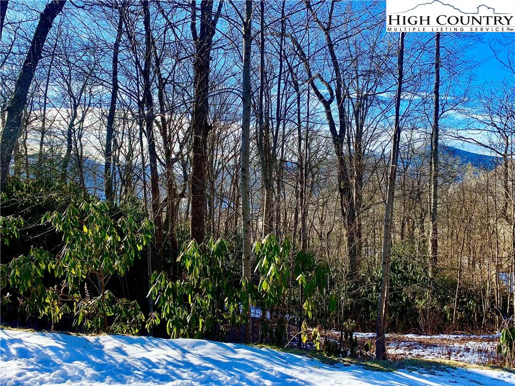 Image number 1 for the current listing