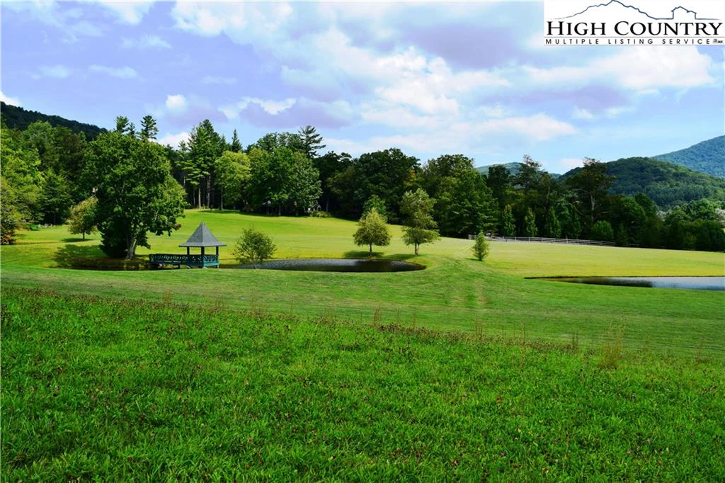 Image number 12 for the current listing