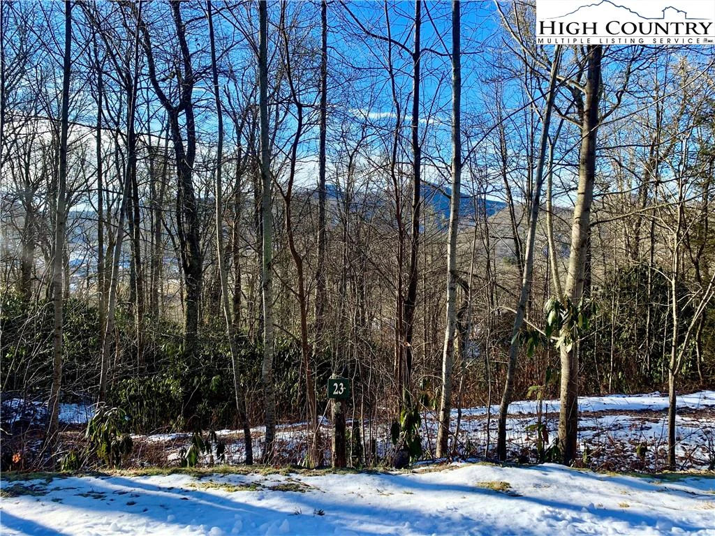 Image number 4 for the current listing