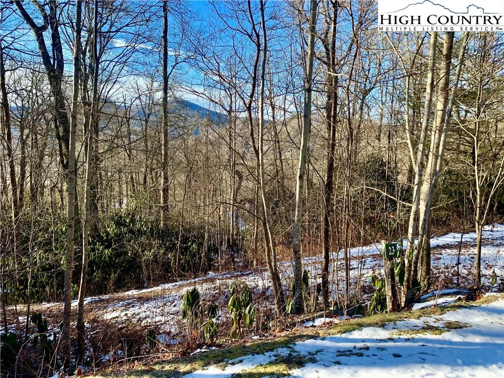 Image number 5 for the current listing