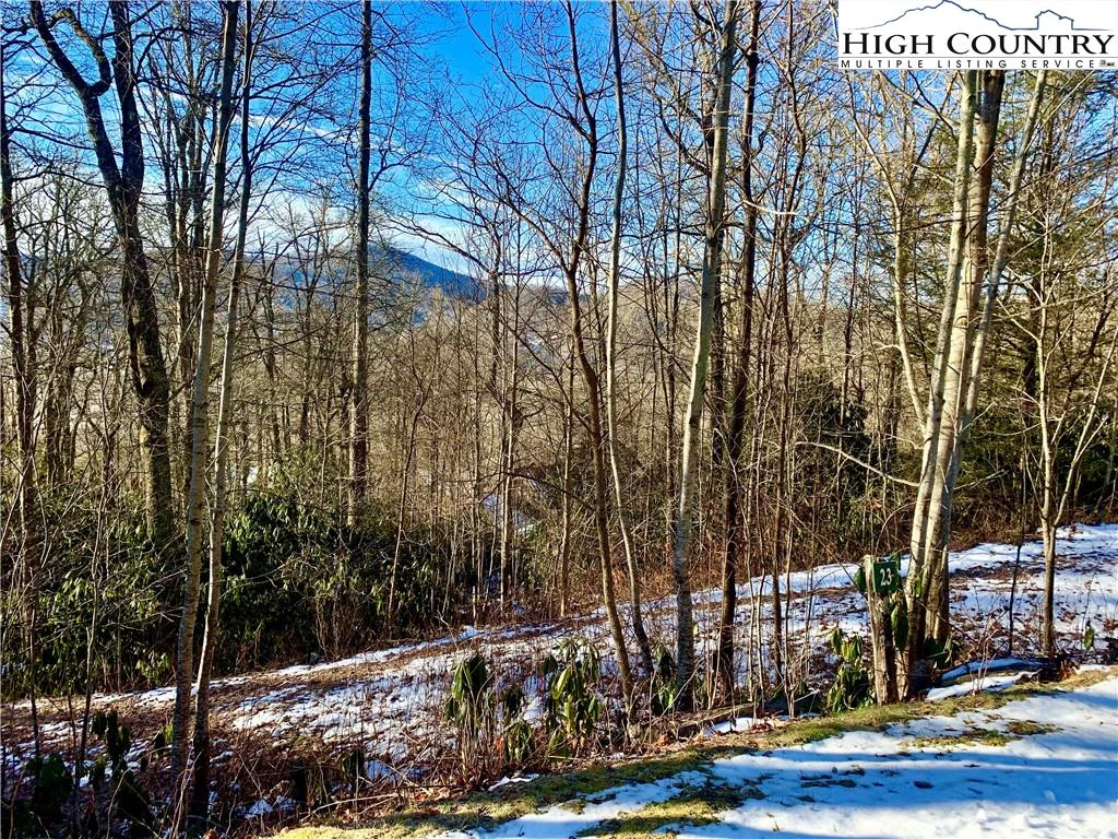 Image number 6 for the current listing