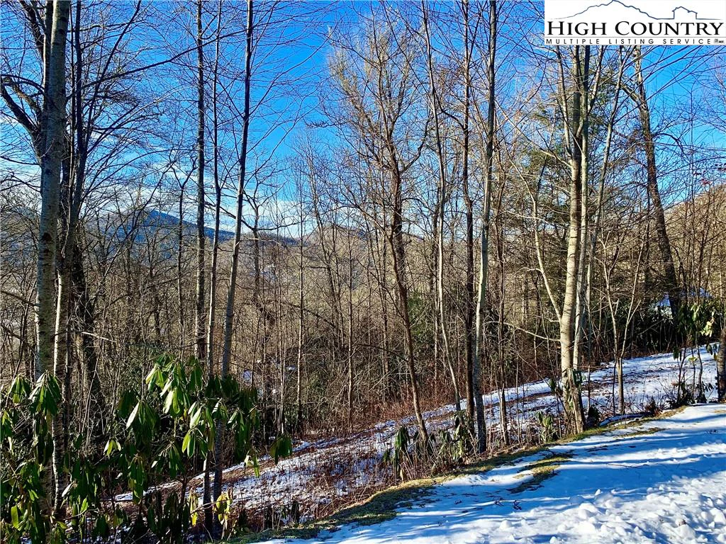 Image number 7 for the current listing