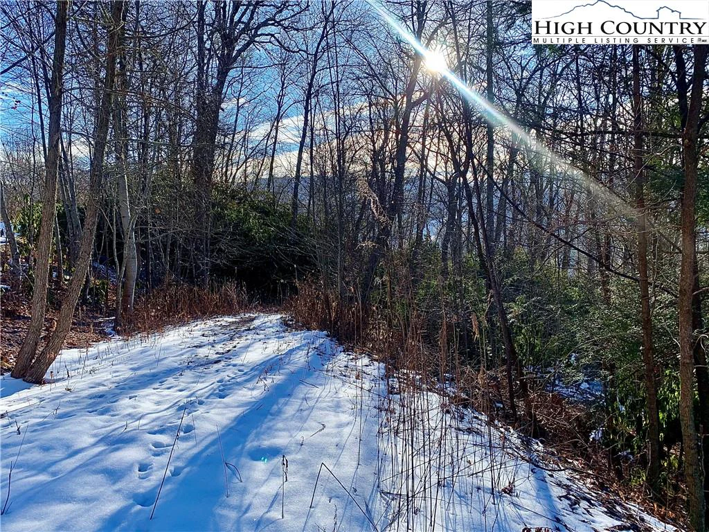 Image number 9 for the current listing