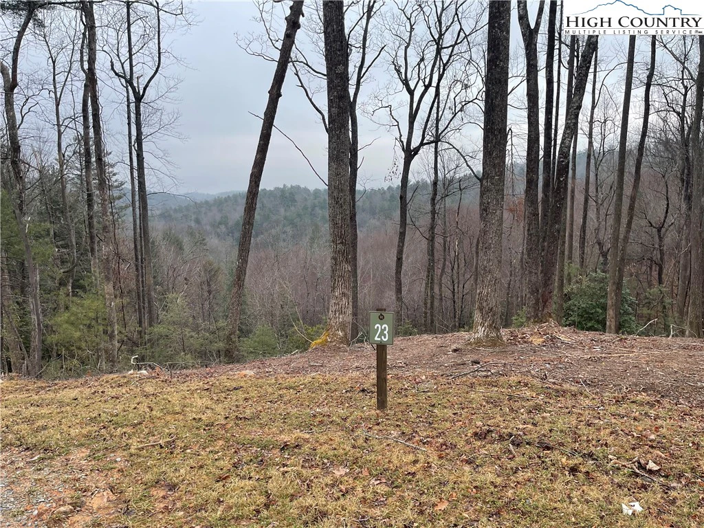 Image number 3 for the current listing