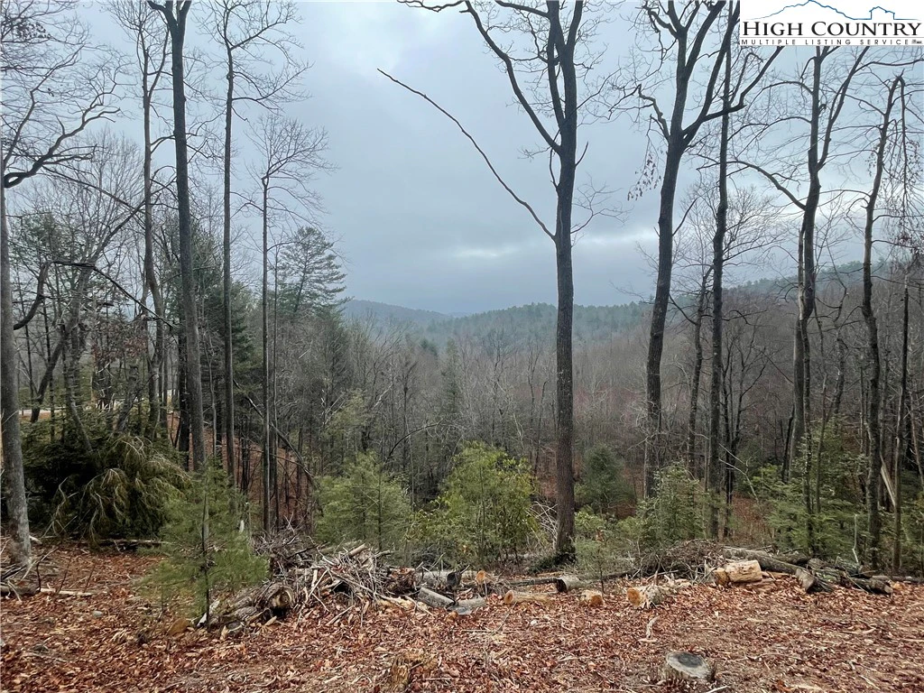Image number 5 for the current listing