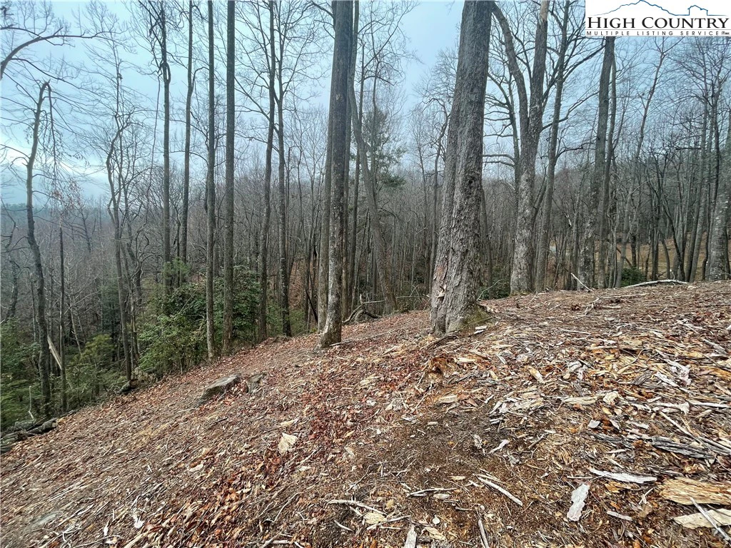 Image number 8 for the current listing