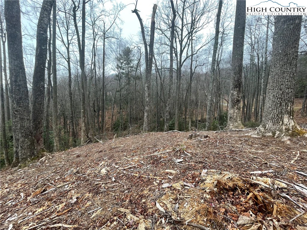 Image number 11 for the current listing