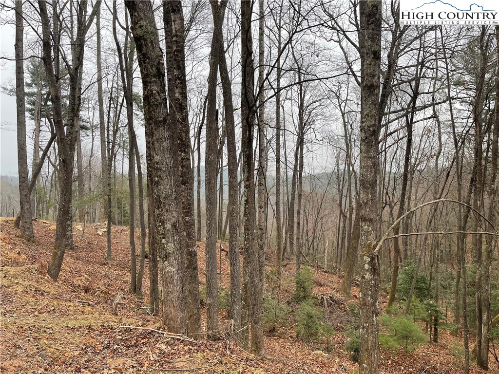 Image number 2 for the current listing
