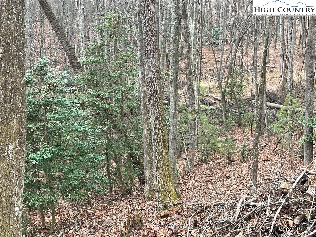 Image number 14 for the current listing