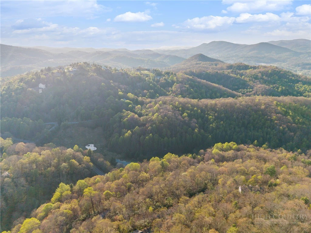 Image number 11 for the current listing