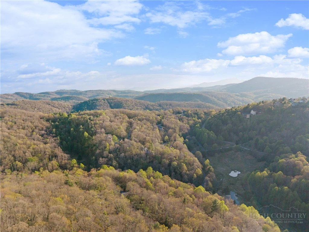 Image number 12 for the current listing