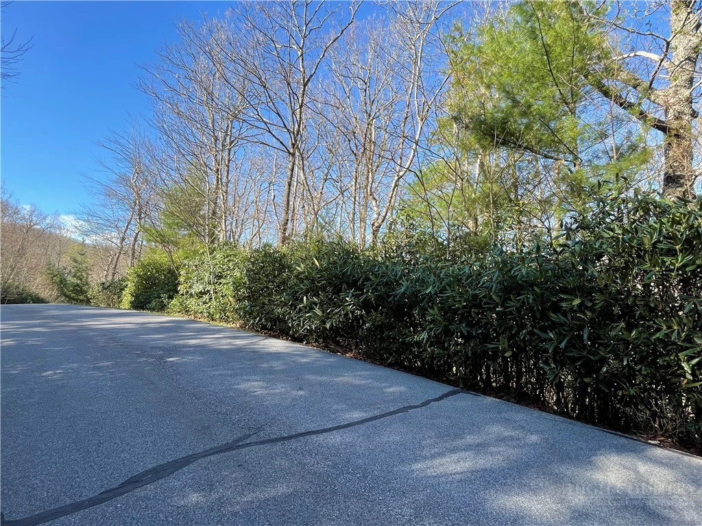 Image number 4 for the current listing