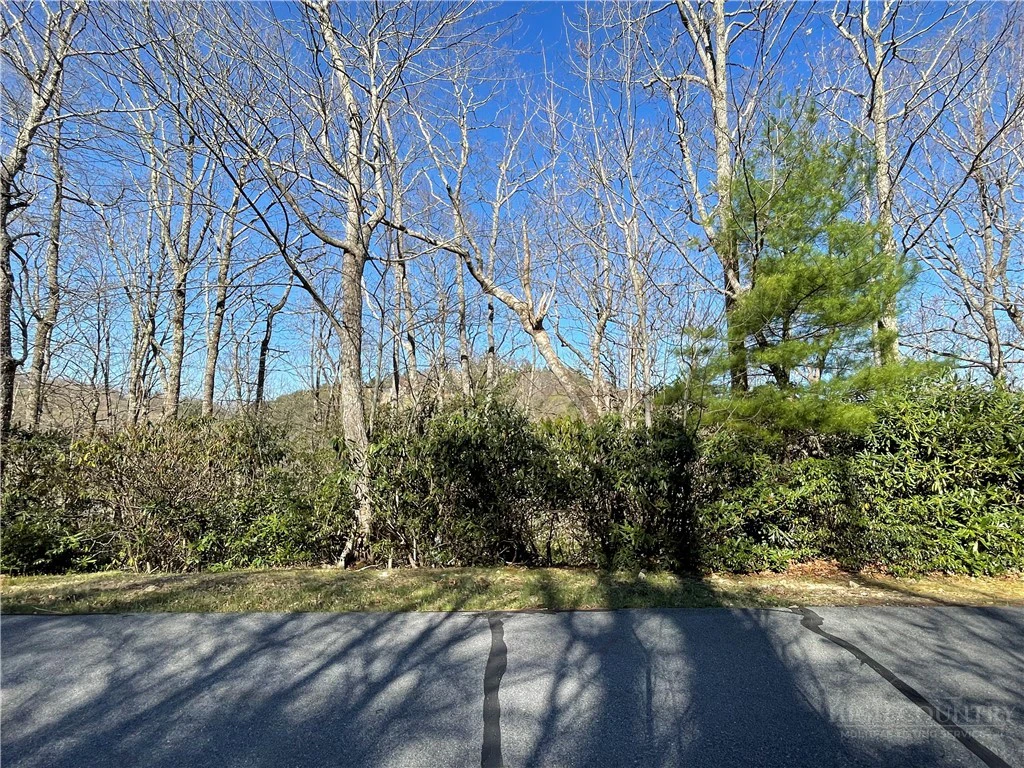 Image number 5 for the current listing