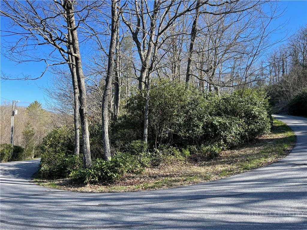 Image number 6 for the current listing