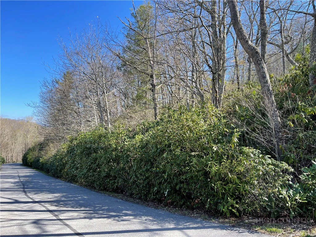 Image number 7 for the current listing