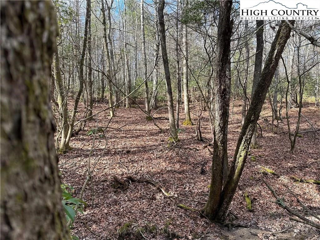 Image number 1 for the current listing