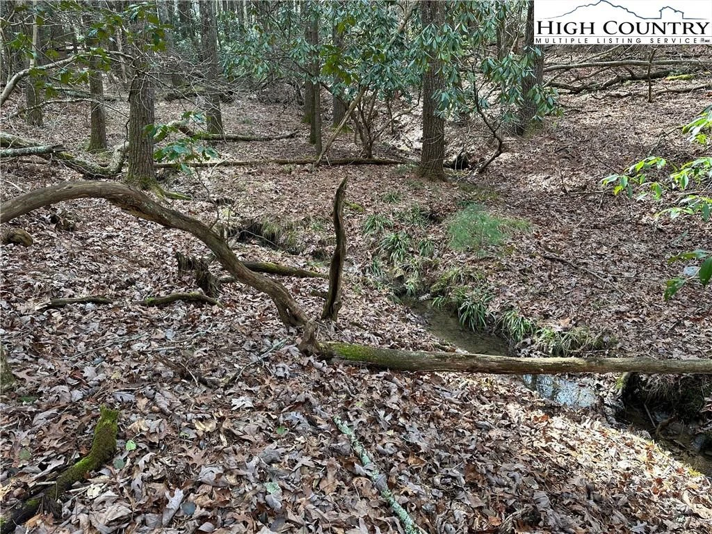 Image number 3 for the current listing