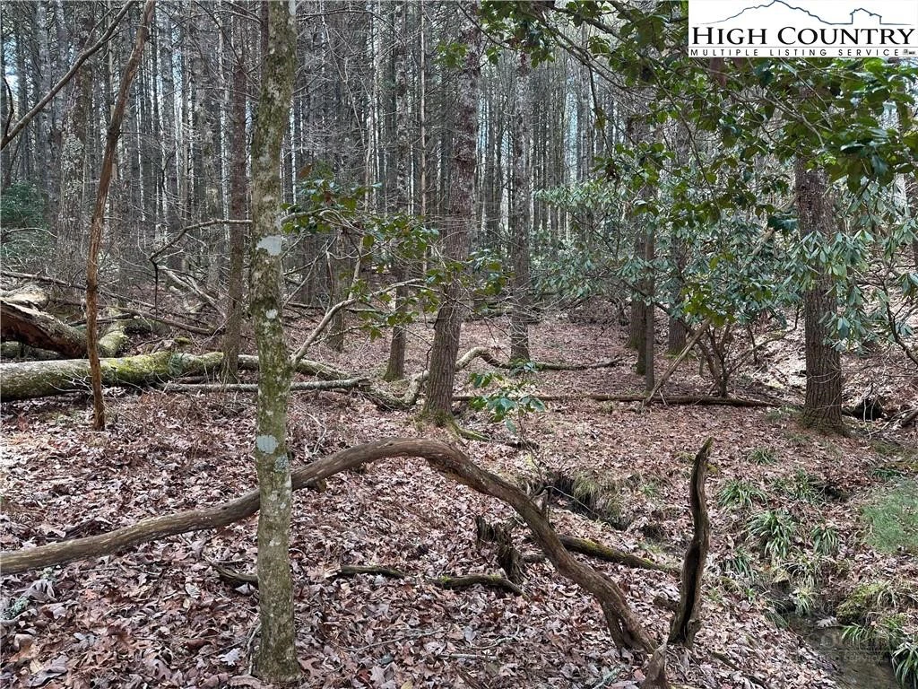 Image number 5 for the current listing