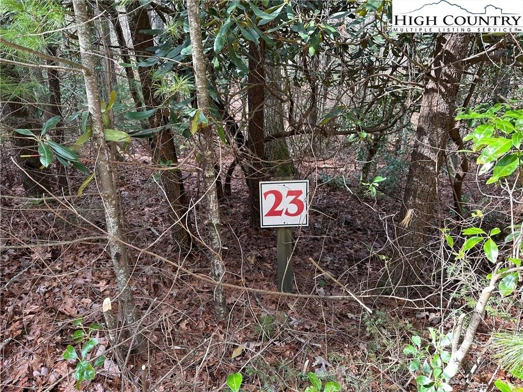 Image number 6 for the current listing