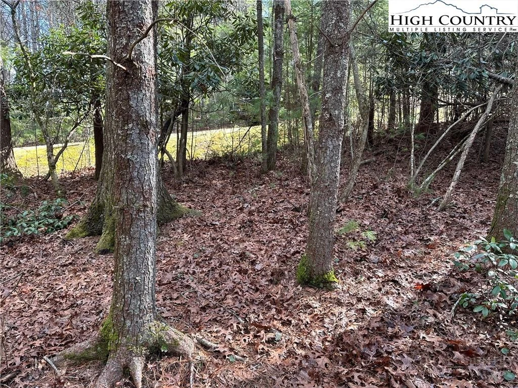 Image number 7 for the current listing