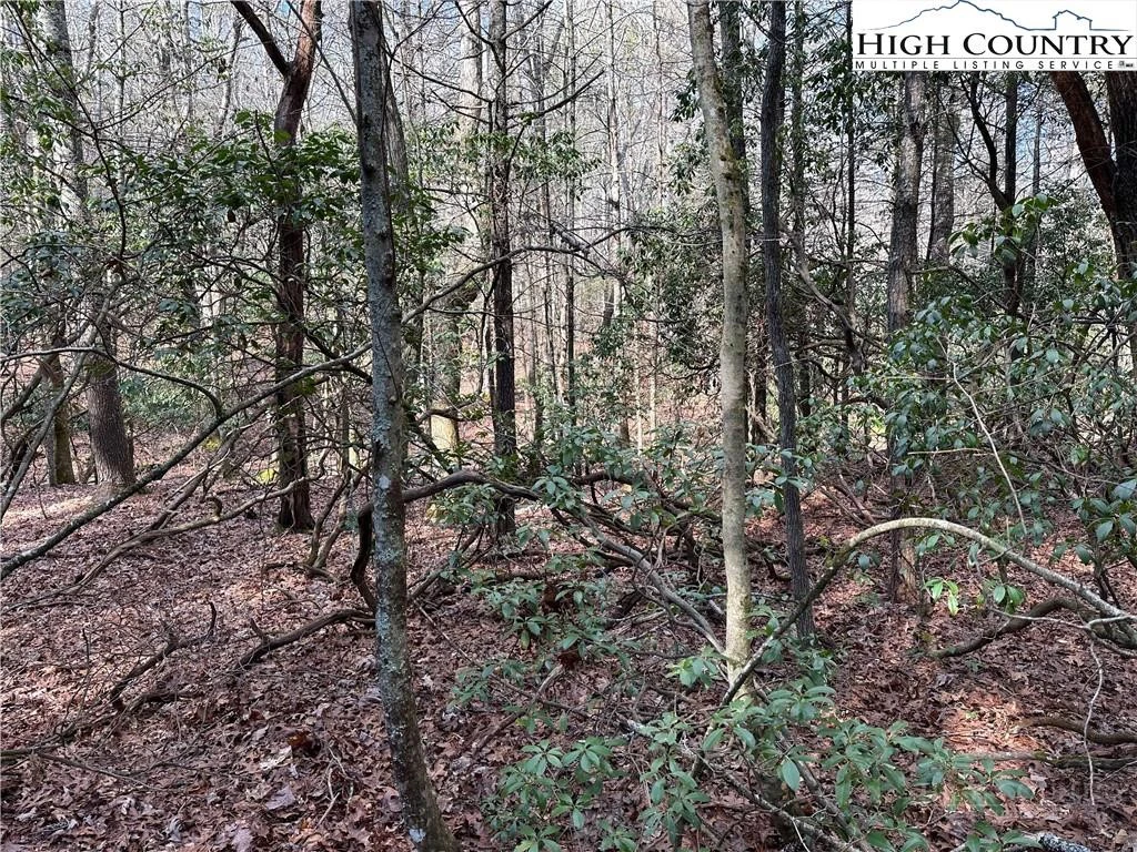 Image number 9 for the current listing