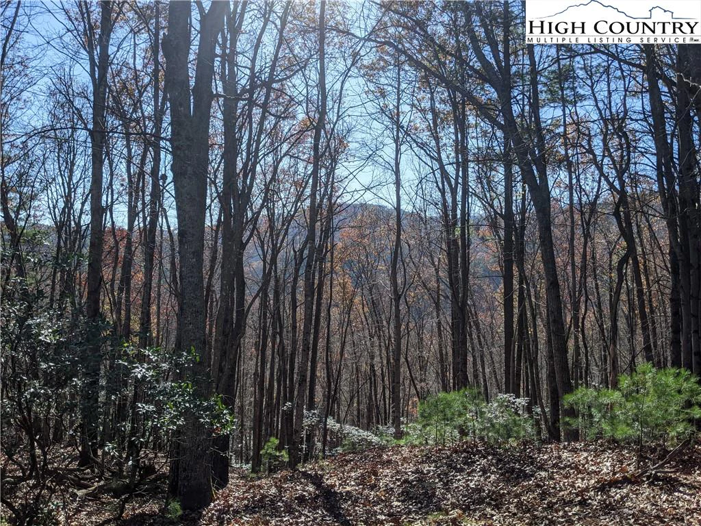 Image number 1 for the current listing