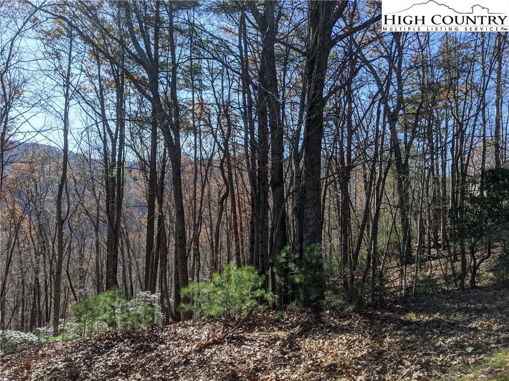Image number 3 for the current listing