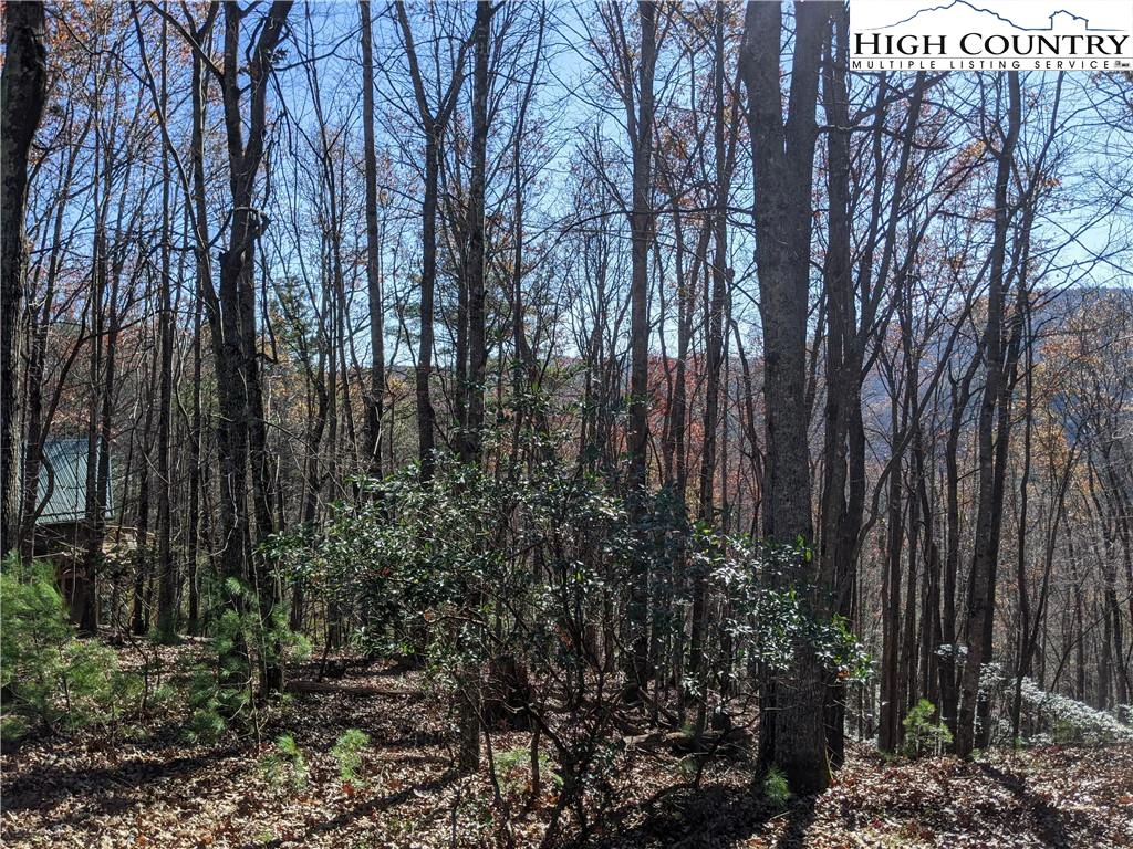 Image number 4 for the current listing