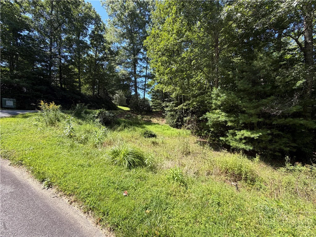 Image number 1 for the current listing