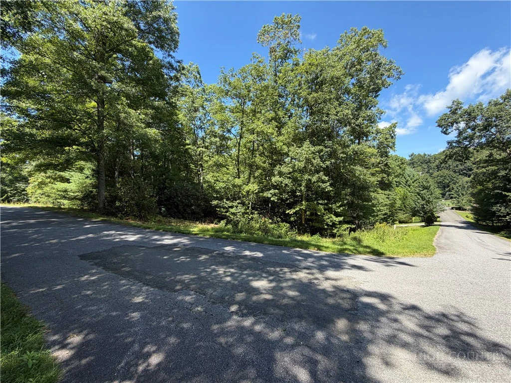 Image number 2 for the current listing