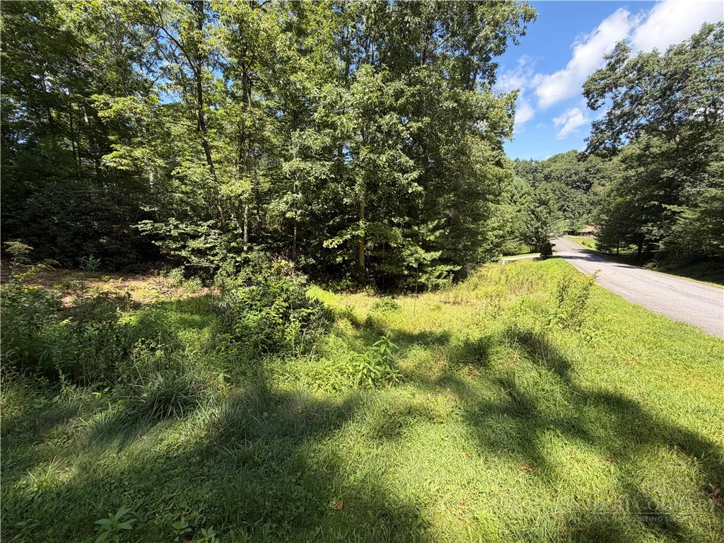 Image number 3 for the current listing