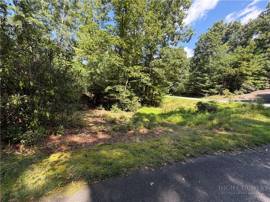 Image number 4 for the current listing