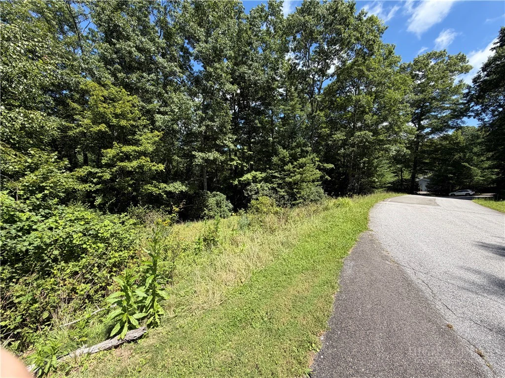 Image number 5 for the current listing