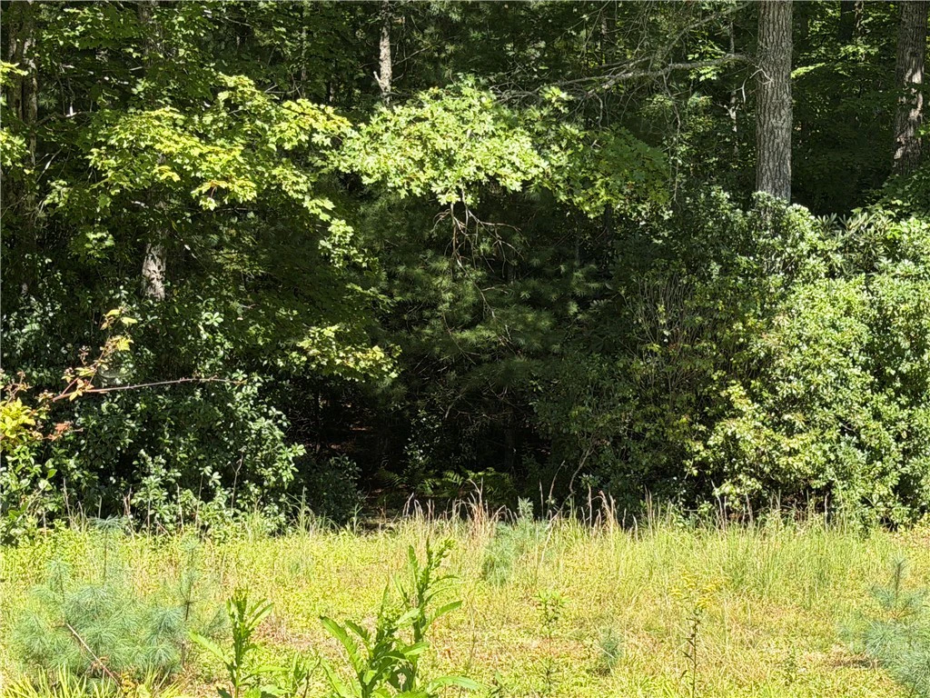 Image number 6 for the current listing