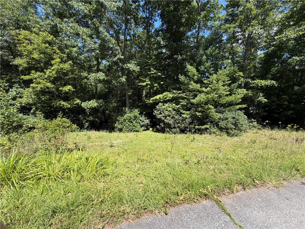Image number 7 for the current listing