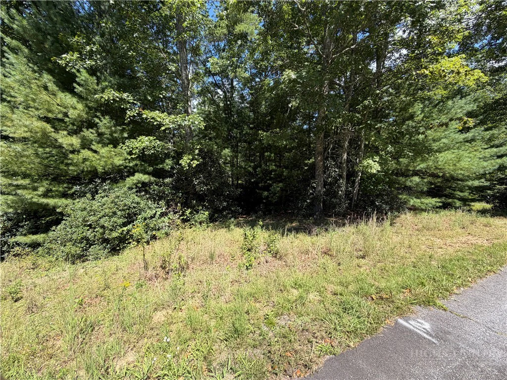 Image number 8 for the current listing
