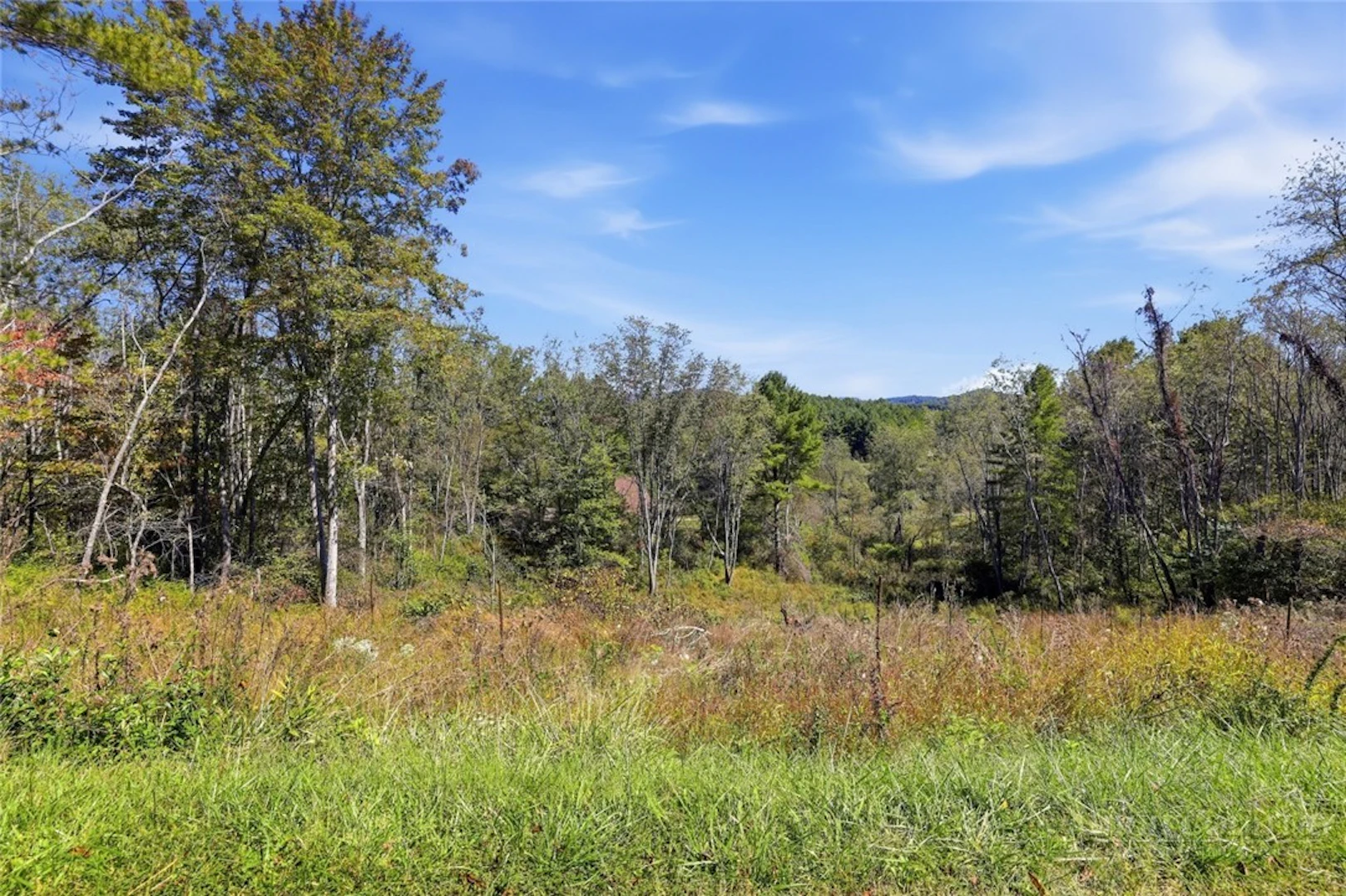 Image number 1 for the current listing